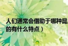 人們通常會借助于哪種昆蟲對濕地水質進行監(jiān)測（該種動物的有什么特點）