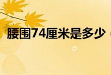 腰圍74厘米是多少（腰圍74厘米是多少碼）