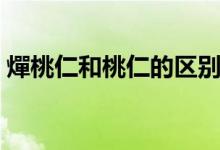 燀桃仁和桃仁的區(qū)別（燀桃仁和桃仁的區(qū)別）