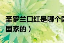 圣羅蘭口紅是哪個(gè)國(guó)家的（圣羅蘭口紅是哪個(gè)國(guó)家的）