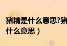 豬精是什么意思?豬精是什么梗?（豬精男孩是什么意思）