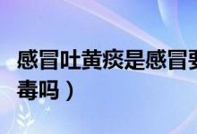 感冒吐黃痰是感冒要好了嗎（感冒吐黃痰是排毒嗎）