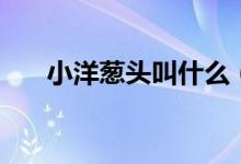 小洋蔥頭叫什么（干蔥頭是小洋蔥嗎）