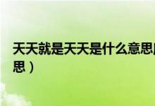 天天就是天天是什么意思魔道祖師（天天就是天天是什么意思）