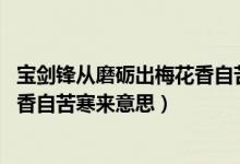 寶劍鋒從磨礪出梅花香自苦寒來意思（寶劍鋒從磨礪出,梅花香自苦寒來意思）