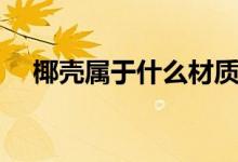 椰殼屬于什么材質(zhì)（椰殼屬于什么垃圾）