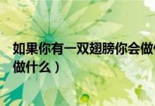 如果你有一雙翅膀你會(huì)做什么（作文如果你有一雙翅膀你會(huì)做什么）