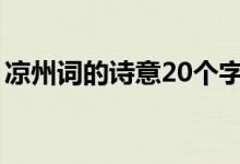 涼州詞的詩(shī)意20個(gè)字(涼州詞的詩(shī)意是什么)