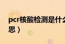 pcr核酸檢測是什么（pcr核酸檢測是什么意思）
