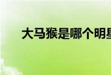 大馬猴是哪個明星（大馬猴是什么梗）