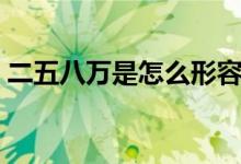 二五八萬(wàn)是怎么形容的（二五八萬(wàn)是罵人嗎）