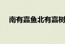 南有嘉魚北有嘉樹（南有嘉魚什么意思）