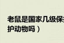 老鼠是國(guó)家?guī)准?jí)保護(hù)動(dòng)物?（水老鼠是國(guó)家保護(hù)動(dòng)物嗎）