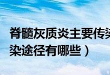 脊髓灰質(zhì)炎主要傳染途徑是（脊髓灰質(zhì)炎的傳染途徑有哪些）