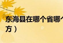 東?？h在哪個省哪個市（山東東海縣是什么地方）