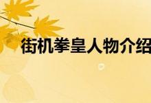 街機(jī)拳皇人物介紹（街機(jī)拳皇角色簡介）