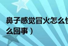 鼻子感覺冒火怎么快速解決（鼻子感覺冒火怎么回事）