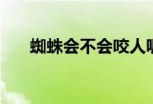 蜘蛛會不會咬人呢（蜘蛛會不會咬人）