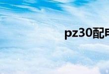 pz30配電箱型號(hào)規(guī)格