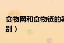 食物網(wǎng)和食物鏈的教學(xué)(食物網(wǎng)和食物鏈的區(qū)別)
