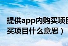 提供app內(nèi)購買項(xiàng)目什么意思（提供app內(nèi)購買項(xiàng)目什么意思）