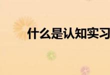 什么是認(rèn)知實習(xí)（什么是認(rèn)知主義）