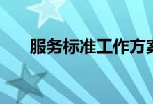 服務(wù)標(biāo)準(zhǔn)工作方案（服務(wù)標(biāo)準(zhǔn)是什么）
