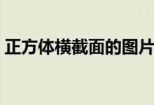 正方體橫截面的圖片（正方體橫截面有哪些）