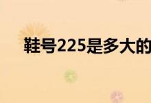 鞋號(hào)225是多大的（鞋號(hào)225是多少碼）