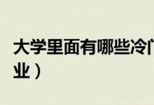 大學(xué)里面有哪些冷門專業(yè)（大學(xué)里面有哪些專業(yè)）