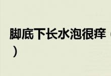 腳底下長水泡很癢（腳底下長水泡很癢怎么辦）