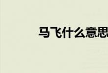 馬飛什么意思（馬飛什么意思）