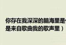 你存在我深深的腦海里是什么歌（你存在我深深的腦海里是是來(lái)自歌曲我的歌聲里）