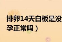 排卵14天白板是沒懷（排卵14天白板17天懷孕正常嗎）