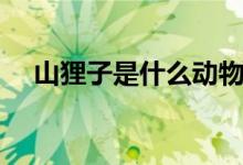 山貍子是什么動(dòng)物（山貍子是什么動(dòng)物）