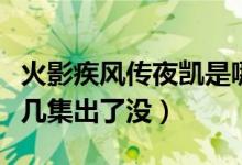 火影疾風(fēng)傳夜凱是哪一集（火影夜凱動(dòng)漫是第幾集出了沒）
