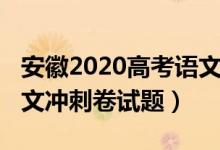 安徽2020高考語(yǔ)文試卷（2022安徽省高考語(yǔ)文沖刺卷試題）