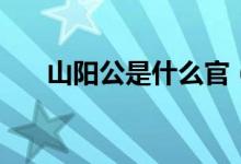 山陽公是什么官（山陽公是什么意思）