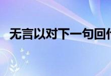 無(wú)言以對(duì)下一句回什么（無(wú)言以對(duì)的意思）