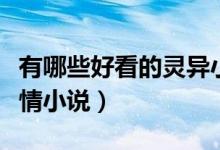有哪些好看的靈異小說（有什么好看的靈異言情小說）