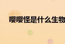 嚶嚶怪是什么生物（嚶嚶怪是什么意思）