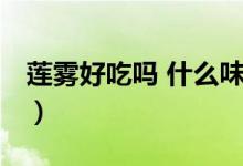蓮霧好吃嗎 什么味道（蓮霧好吃嗎 蓮霧好吃）