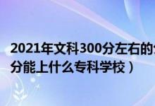 2021年文科300分左右的公辦專(zhuān)科大學(xué)（2022高考文科300分能上什么專(zhuān)科學(xué)校）