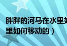 胖胖的河馬在水里如何行走（胖胖的河馬在水里如何移動的）