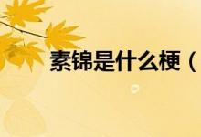 素錦是什么梗（素錦是什么電視?。?class=