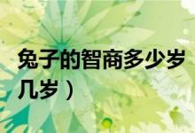 兔子的智商多少歲(兔子的智商大概是人類的幾歲)