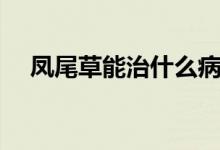 鳳尾草能治什么?。P尾草能治什么?。?class=