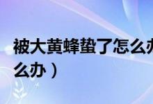 被大黃蜂蟄了怎么辦嚴重不（被大黃蜂蟄了怎么辦）