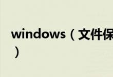 windows（文件保護(hù)介紹 了解功能工作方式）