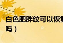 白色肥胖紋可以恢復(fù)嗎（白色肥胖紋可以消除嗎）